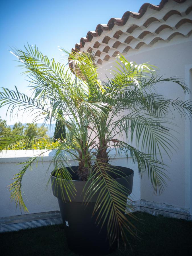 Apartment La Bastide De St Barnabe Jacuzzi Climatisation Parking Petanque *